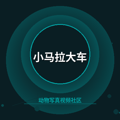 小马拉大车