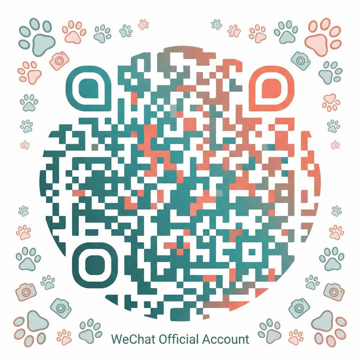 小马拉大车公众号二维码